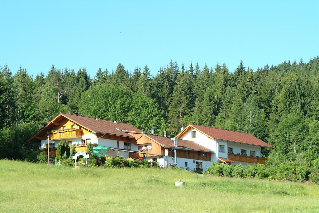Gasthaus Pension Sternknockel Боденмайс Экстерьер фото